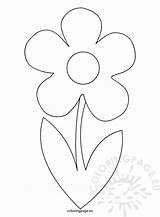 Stem Coloring Flower Template Flowers Drawings 79kb sketch template