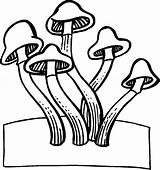 Mushroom Coloring Pages Magic Color Printable Getcolorings Print Colorings sketch template