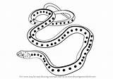 Snake Garter Drawing Draw Common Step Reptiles Getdrawings Simple Learn Tutorials Drawingtutorials101 sketch template