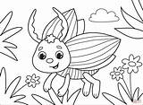 Bug Bugs Insects sketch template