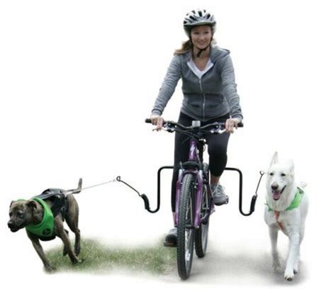 springer dog exercise bike leash attachment ean   sale  ebay