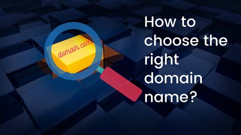 choose   domain  beginners guide