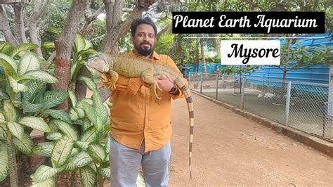 planet earth aquarium mysore youtube