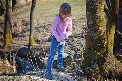無料画像 木 森林 荒野 歩く 女の子 トレイル 遊びます 春 秋 人間 シーズン ブロンド 生息地 自然環境