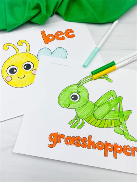 bug coloring pages  preschool