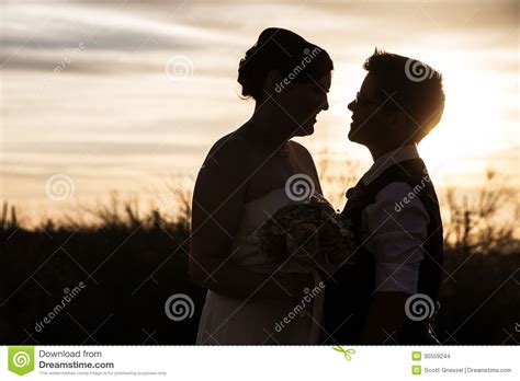 same sex couple at sunset stock images image 30559244