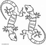 Lizard Coloring Gecko Frilled Realistic Cute Geckos Printable Desert Cool2bkids Getcolorings sketch template