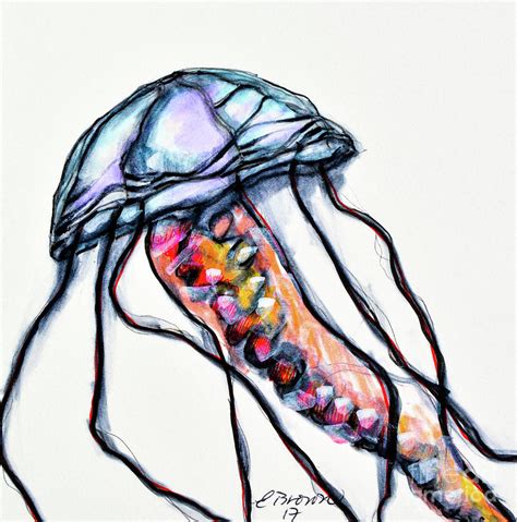 jellyfish drawing    clipartmag