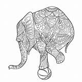 Ausmalbilder Cores Estresse Elephants Adultos Pintar Sheets sketch template