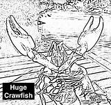 Coloring Crawfish Corner Kids Suggestions Enjoy Let Please Through Know Contact Pages If sketch template