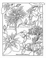 Inspirational Colouring sketch template