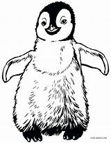 Penguin Coloring Pages Kids Baby Winter Penguins Printable Birds Color Pittsburgh Drawing Preschoolers Rockhopper Cool2bkids Print Drawings Getcolorings Epic Chinstrap sketch template