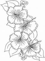 Coloring Hibiscus Pages Flower Print sketch template