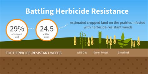 Herbicide Resistance And Data Management Take The Next Step Decisive