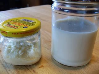 eden essentials great   raw milk butter  buttermilk