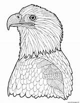 Coloring Eagle Pages Advanced Adult Printable Bald Hard Zentangle Adults Color Print Getcolorings Getdrawings sketch template