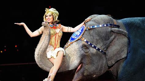 top american circus  stop elephant acts  news sky news