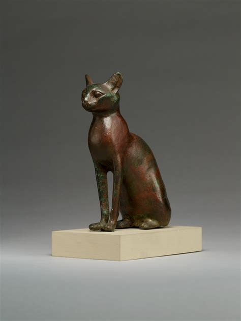 cat late period ptolemaic period the metropolitan museum of art