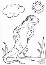 Iguana Coloring Cartoon Pages Coloringbay sketch template
