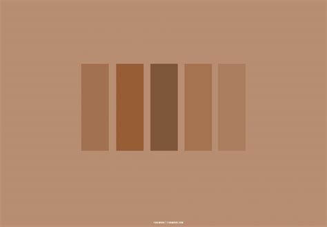 25 Brown Aesthetic Wallpaper For Laptop Shades Of Brown Aesthetic 1