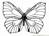 Schmetterlinge Mariposas Mariposa Tiere Imprimibles Sellos Insectos Artesanías Cristales Repujado Coloringpages101 Negro Malvorlage Kategorien sketch template