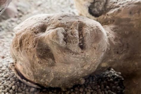 frozen in time casts of pompeii reveal last moments of volcano victims