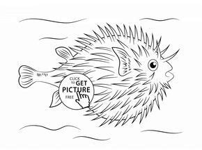 puffer fish coloring page  kids animal coloring pages printables