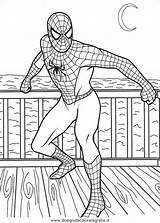 Uomo Ragno Spiderman Disegno Colorare Cartoni sketch template