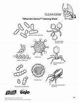 Germs Bacteria Coloring Worksheets Hygiene Virus Pages Hand Printables Germ Kids Lesson Worksheet Printable Plans Preschool Lessons Sketch Washing Actividades sketch template