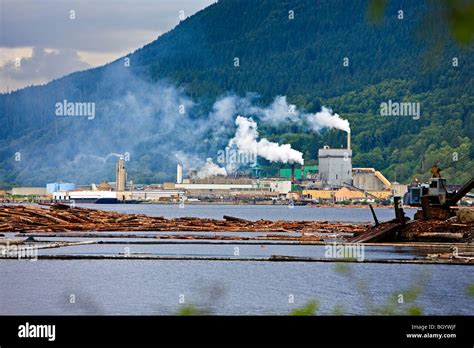 pulp mill  res stock photography  images alamy