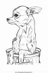 Chihuahua Cane Animali Cani Disegno Colorear Hunde Chien Malvorlage Perro Disegnidacoloraregratis Ausmalen Schleich Arte Cuccioli Tattoo Lapiz Salvato Cucciolo Cachorros sketch template