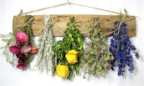 Dried Herbs Projects Diy Projects Craft Ideas And How To’s