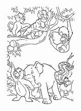 Coloring Jungle Pages Book Disney Cartoon Blank Colouring Kids Printable Vines Adult Outline Template Sheets Books Library Clipart Choose Board sketch template