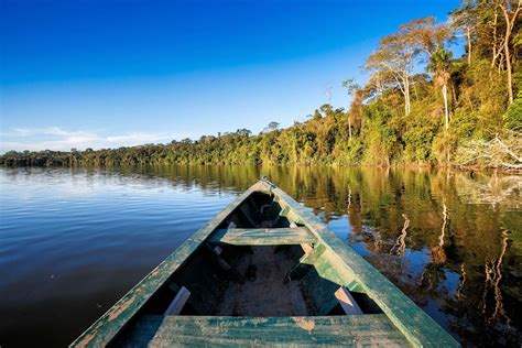 amazonas regenwald um manaus brasilien franks travelbox