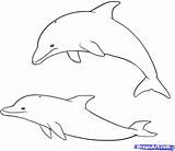 Delfin Dolphin sketch template