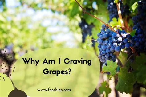 craving grapes foodslopcom