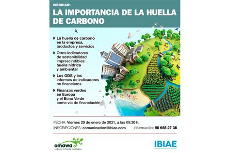 La Importancia De La Huella De Carbono – Ibiae