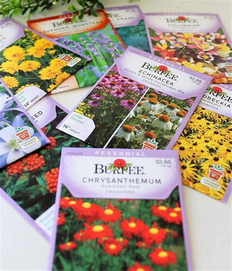 buying seeds  understanding seed packets start   seed series