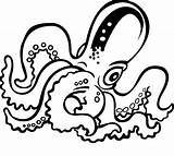 Octopus Coloring Pages Library Clipart sketch template