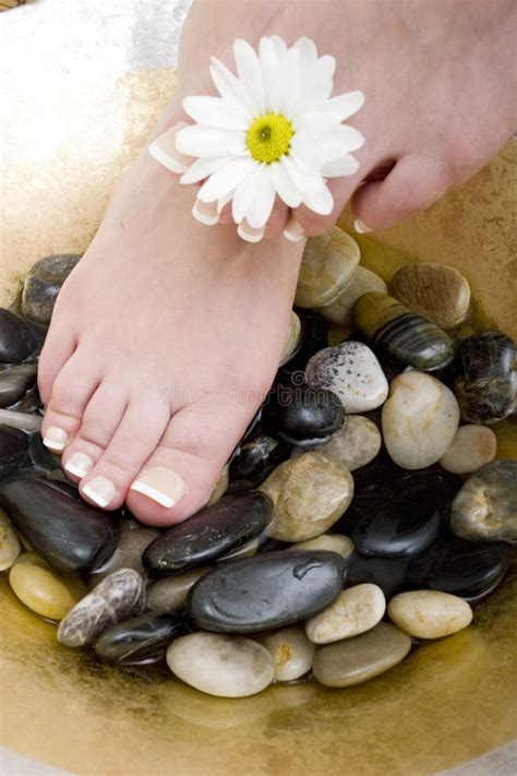 foot spa stock image image  rejuvenation hygiene healthy