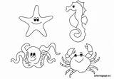 Sea Coloring Animals Pages Creatures Ocean Animal Underwater Life Under Kids Printable Color Scene Sheets Floor Simple Preschool Coloringpage Eu sketch template