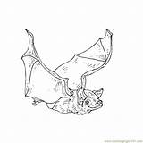 Bats Coloring Flying Bat Kids Printable Pages Animals Color sketch template