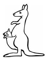 Kangaroo Canguru Boyama Wallaroo Kanguru Imageas Sayfalari Kangoroo Ilosofia Sayfasi Hayvan sketch template