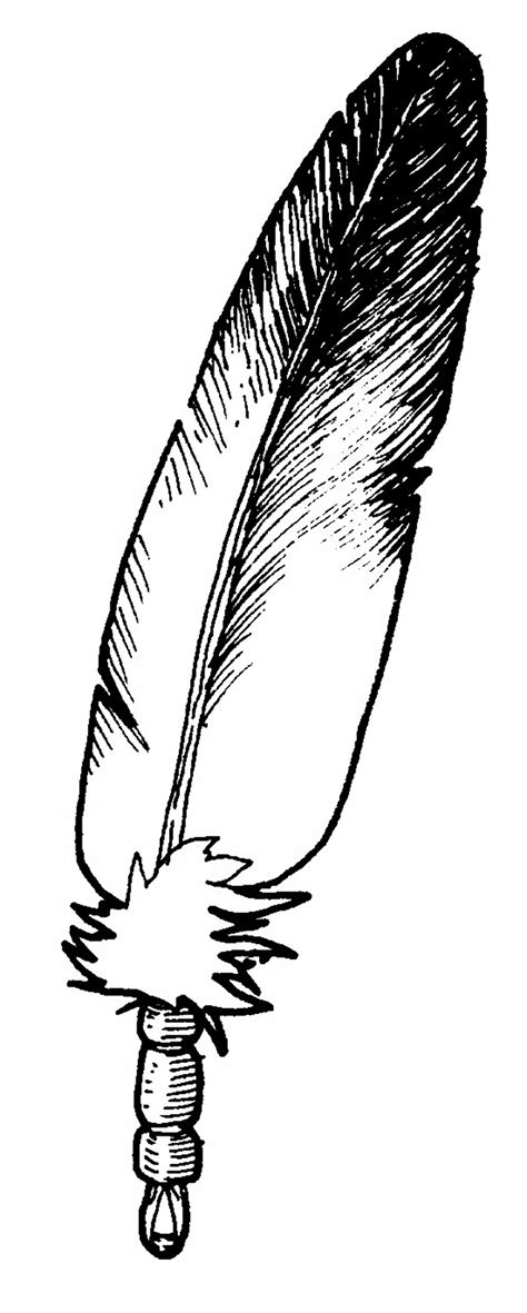 high quality feather clipart eagle transparent png images