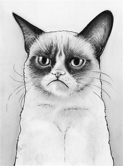 grumpy cat grumpy cat art david bowie art print bowie cat