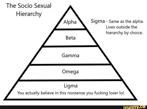 the socio sexual hierarchy alpha sigma same as the alpha lives