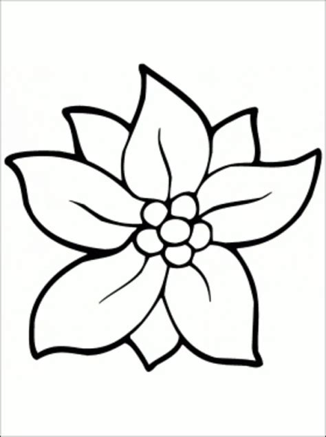 print   common variations   flower coloring pages