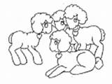 Coloring Pages Lamb Kids Animals Letter Lambs Animal Dltk sketch template