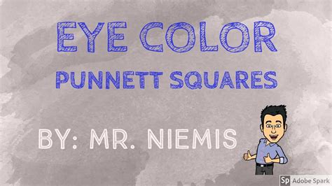 Mr Niemis Flipped Lessons Eye Color And Eye Color