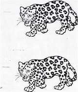 Coloring Jaguar Pages Popular sketch template